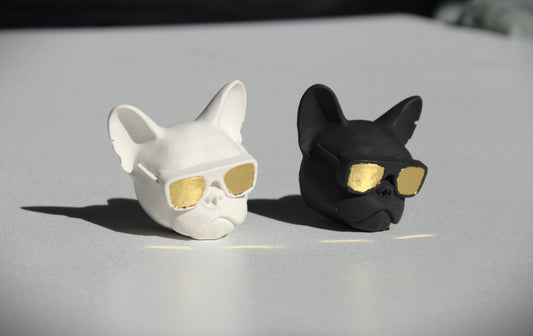 Set Magneti Pug