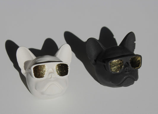 Set Magneti Pug